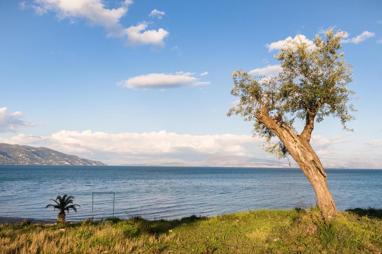 Merlyn Rooms Into The Nature, 100M From The Beach Dafnila Exterior foto